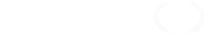 Toronto Banner